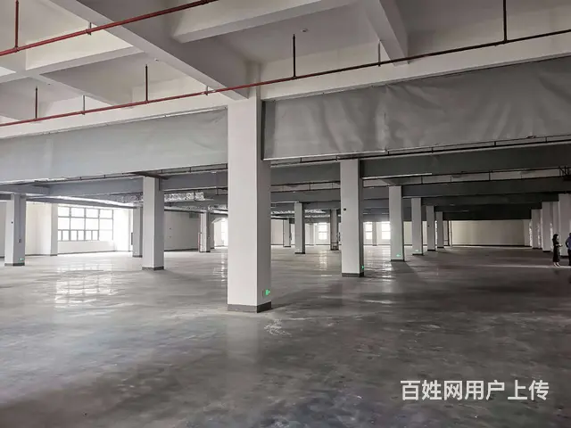 尚湖鸳鸯桥标准厂房10500平，宿舍配套，适合各种行业，分租 - 图片 7