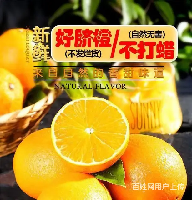 和平赣南脐橙批发价格 - 图片 3