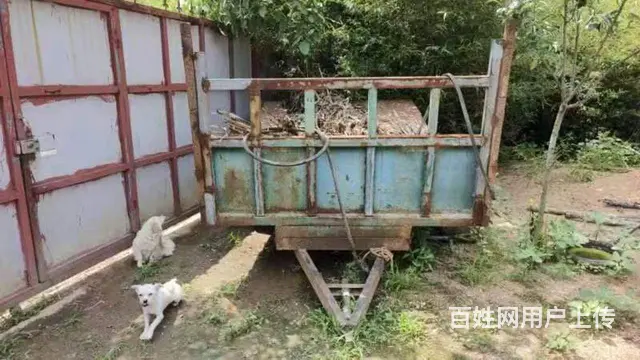 车斗 - 图片 4