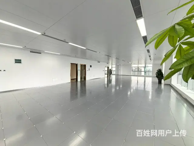 北站丨华府新天地丨195平丨清水丨高端大厦丨地铁附近丨720 - 图片 8