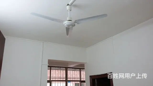 一房一厅出租南海大道 - 图片 7