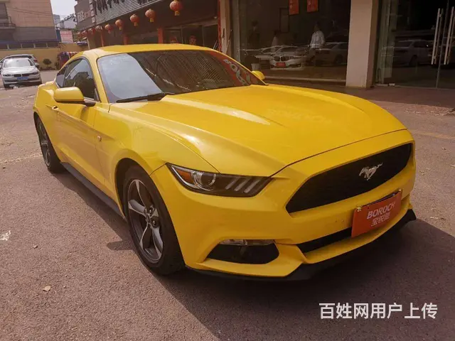 【搞定了！】福特Mustang [野马](进口) - 图片 2