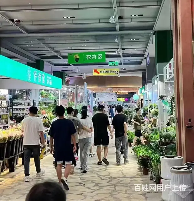 中街益田假日鲜花绿植花鸟鱼文玩茶具档口出租可适合多种经营 - 图片 1