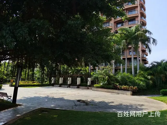 【搞定了！】龙栖湾温泉1号 普通住宅 中等装修 - 图片 1