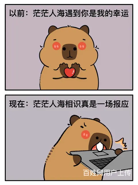 孤独是常态： 人 终只能依靠自己 - 图片