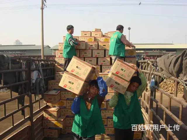 24小时拉货+搬家18876679981打墙打地板 - 图片 3