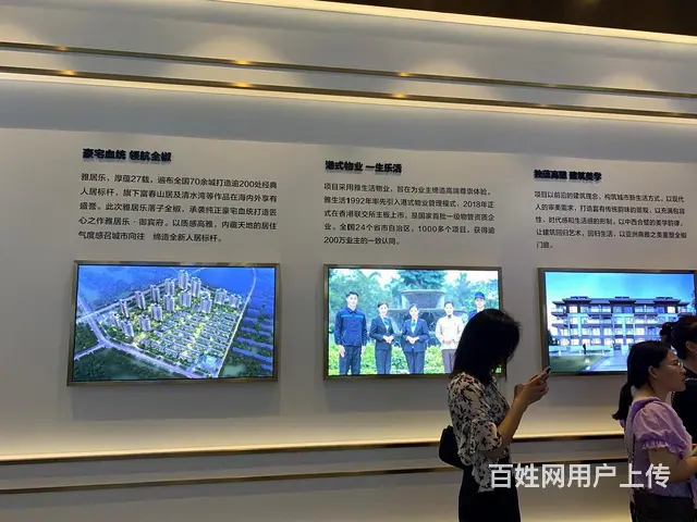 年底特价全椒高端央企高铁站旁送花园地下室雅居乐御宾府叠墅 - 图片 12