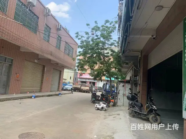 （51旺铺推荐）椰海大道沙坡村180平铺面出租 - 图片 3