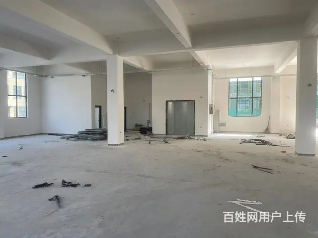 （房东出租）张村魏桥电厂附近纯一层新框架标准厂房出租 - 图片 4