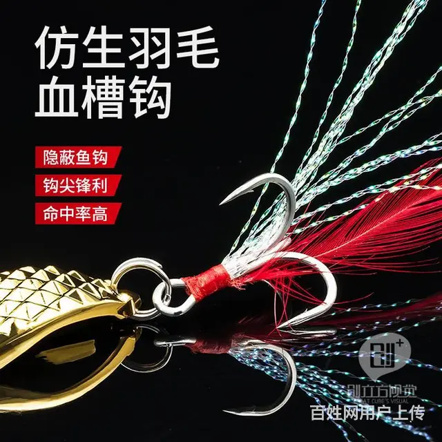威海海带拍摄/海产品拍照/海参摄影/淘宝拼多多美工 - 图片 6