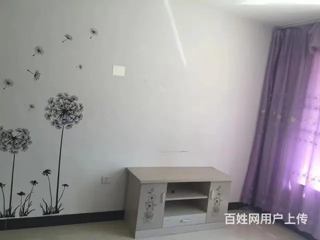 【搞定了！】低价出租全套家具家电 - 图片 4