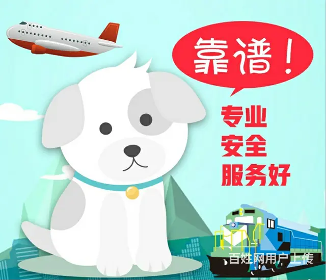 全国各地宠物托运空运汽运（安全放心 诚信第一 - 图片 1