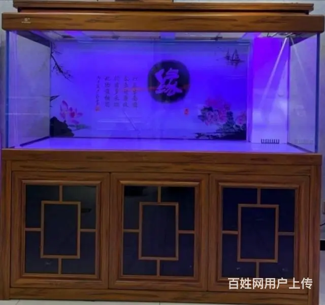 金海王、可丽爱、水族箱、鱼缸、锦鲤 - 图片 1