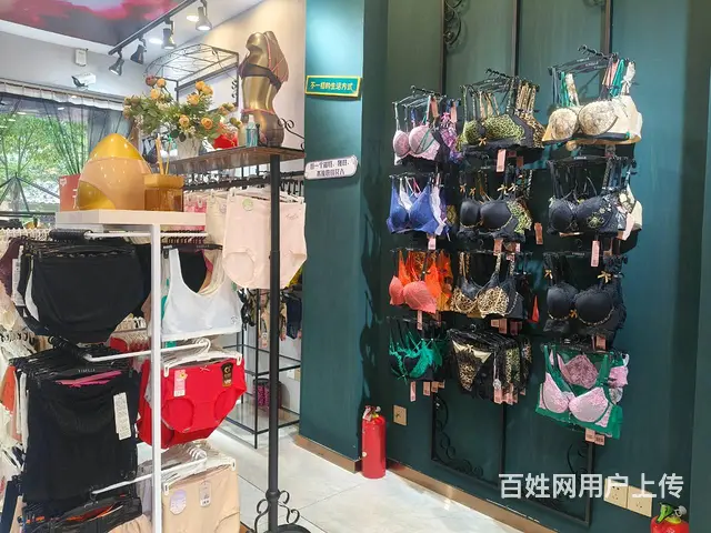 6381（爆铺网）商业中心人流量大品牌内衣店低价转让 - 图片 2