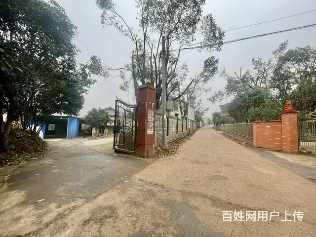 （老板本人）望城普瑞大道旁全新厂房/仓库带住房出租 6062 - 图片 1