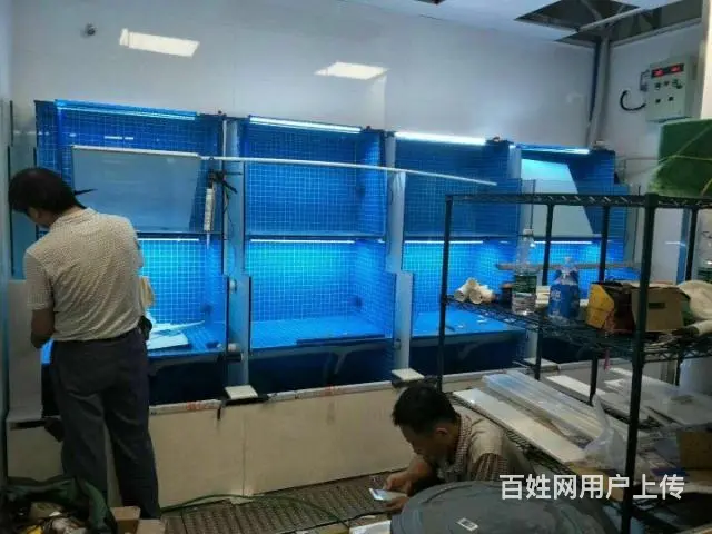 定做海鲜缸 - 图片 8