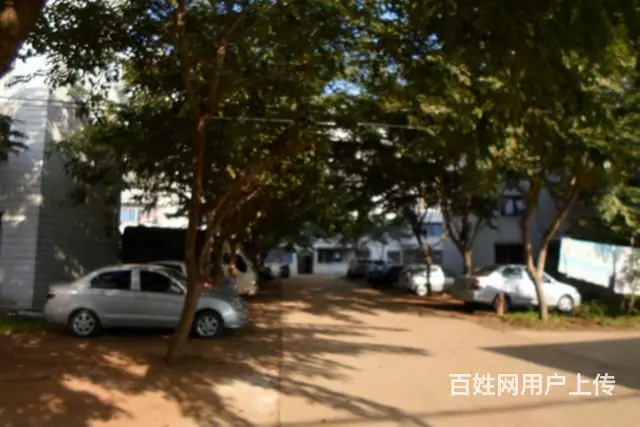 滨海大道   华秀大厦3房精装修 - 图片 6