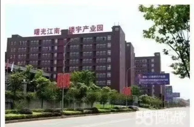 巴南界石曙光江南都市工业园1244平米标准厂库房出租，配套齐 - 图片 4