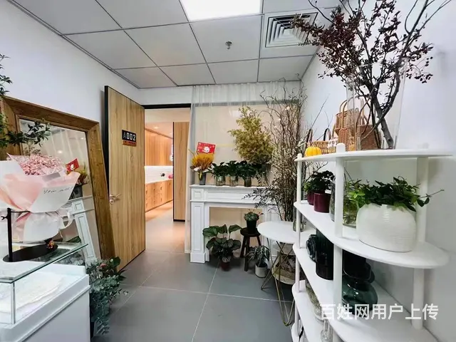 多种行业选择，当时就因为便宜又方便才选择 - 图片 5