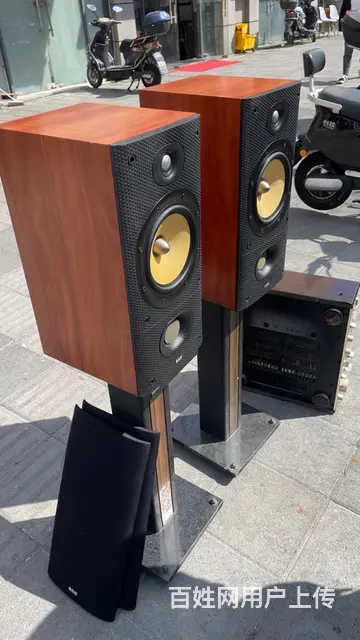 英国进口B&W/宝华 DM602S3 发烧音箱 - 图片 4