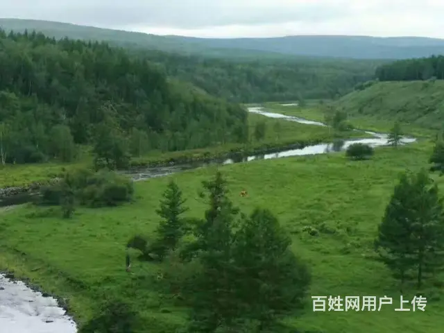 呼伦贝尔海拉尔呼伦贝尔旅游租车费用租车费用服务质量 - 图片 1