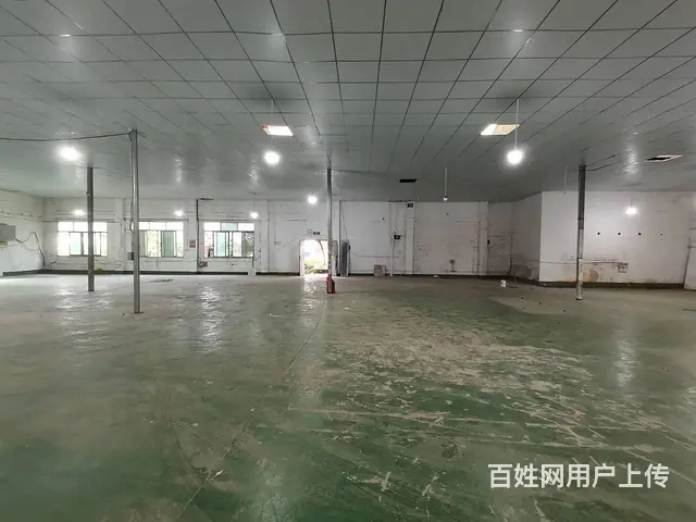 （老板本人）望城区自建厂房仓库房东直租 5250 - 图片 1