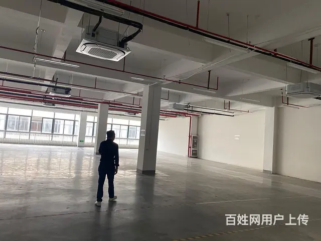 一手出租200至2000平仓库，政府牵头，配套皆有！ - 图片 3