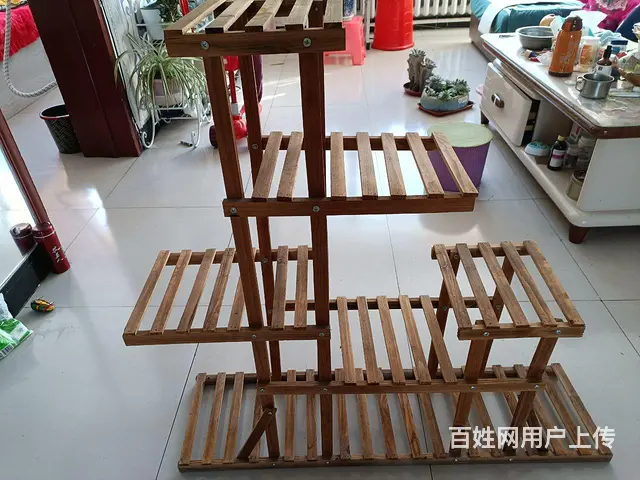 龙骨绿植，花架 - 图片 2