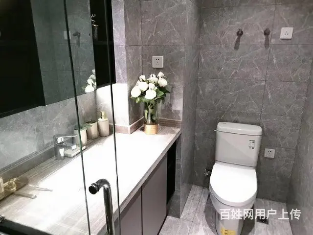 南大街运河旁8000多朝南公寓带大阳台，市中心，民用水电 - 图片 3