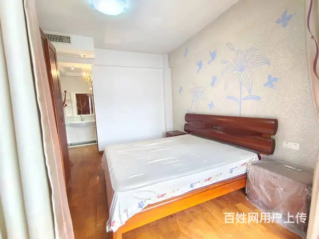 源泉山庄B区 普通住宅3室2厅 豪华装修 - 图片 3