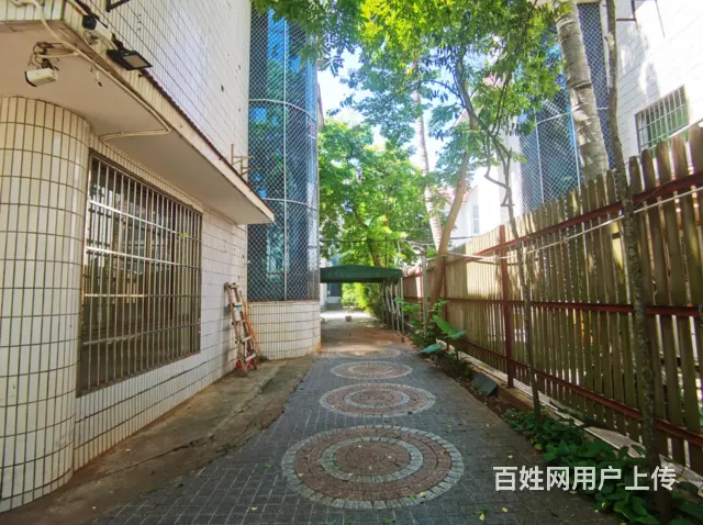 （51旺铺推荐）海甸岛海达路兴庆园小区490平别墅出租 - 图片 5