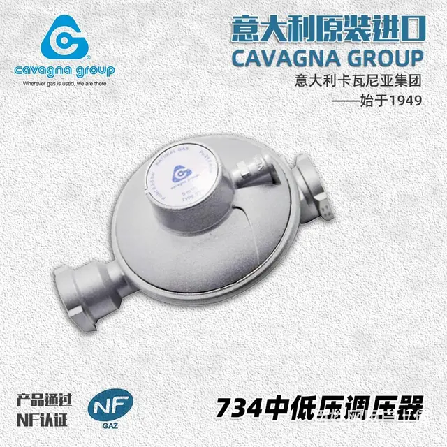 卡瓦尼亚中低压调压器734壁挂炉锌制天然气减压阀 - 图片 1