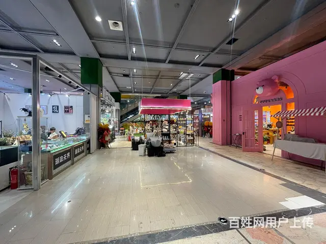 中街益田假日鲜花绿植花鸟鱼文玩茶具档口出租可适合多种经营 - 图片 4