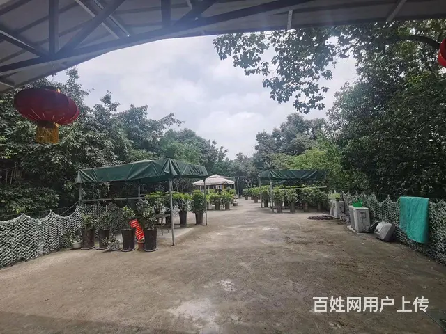 旺铺居）洞天公园KTV+茶楼客源稳定整体转让或出租 - 图片 2