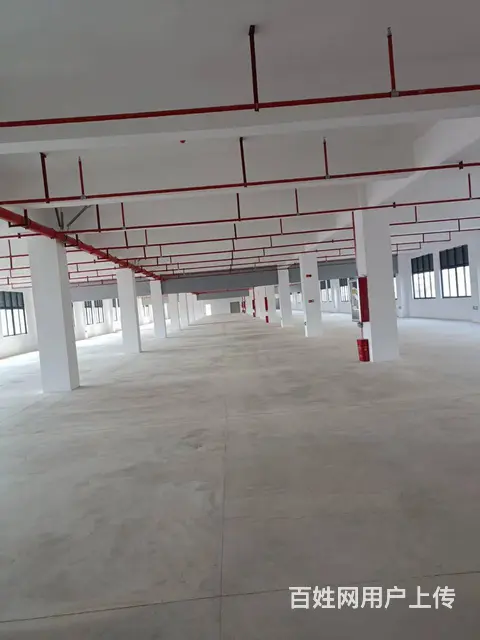 (麦子邦免费找店)全新厂房,消防过关,设备齐全可分租可面议! - 图片 5