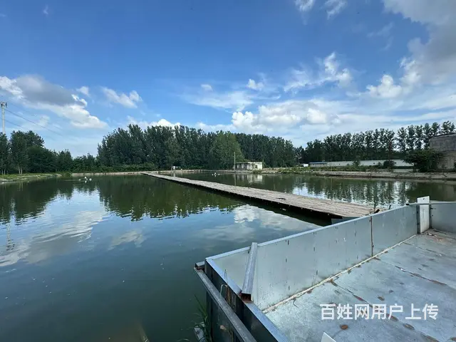 （徐州找店网）东区营业中鱼塘转让 - 图片 3