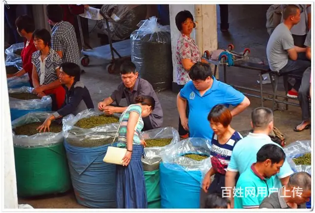 在哪里可以学专业的茶艺师培训 天晟茶艺培训学校 - 图片 1