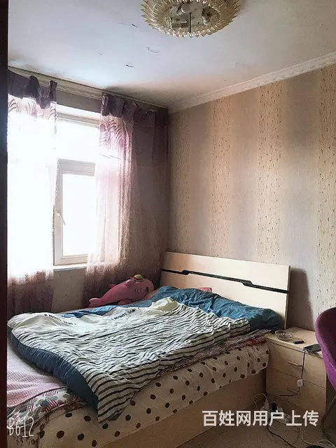 南滨河 落地窗 精装修 拎包入住 无大税 - 图片 6