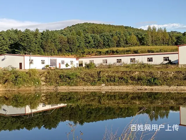绿水青山 - 图片 2