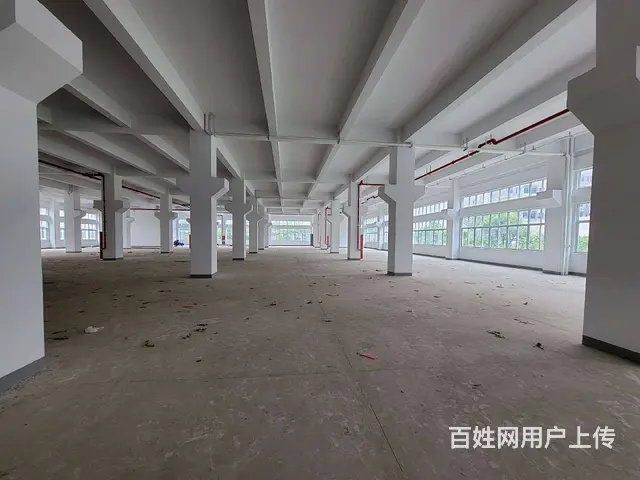 古里全新独栋厂房每层5300平，配有4部3吨货梯，有食堂宿舍 - 图片 9