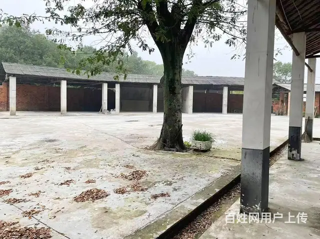 （老板本人）望城区独门独院厂房/仓库房东直租  6030 - 图片 3