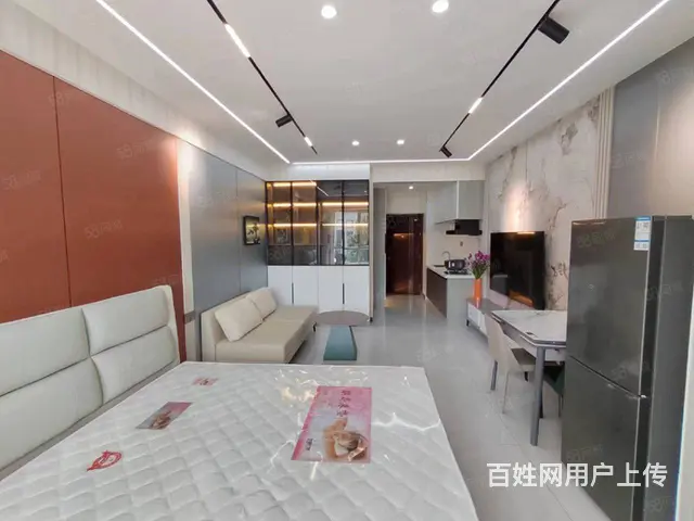 地铁房优诗美地(铁西) 普通住宅1厅 精装修 - 图片 8