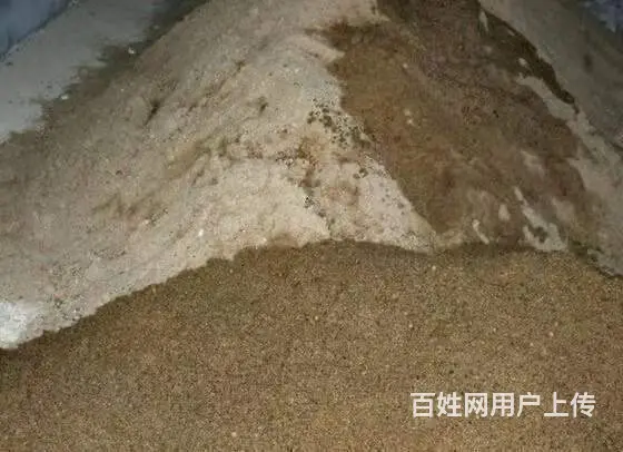 苏家屯水泥批发运输一条龙服务 - 图片 9