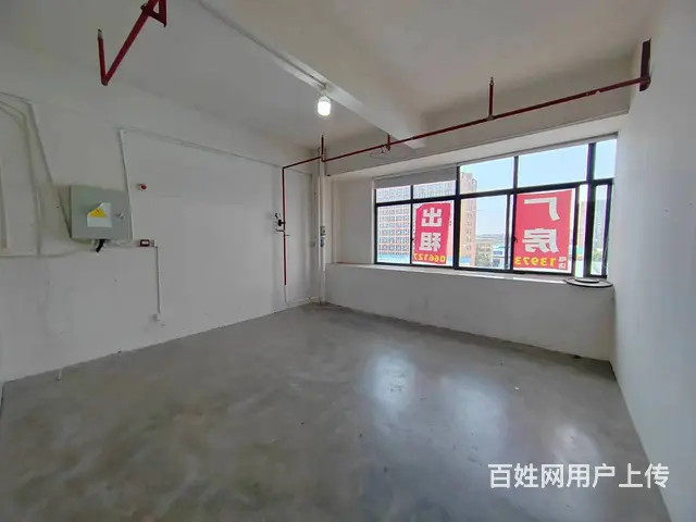（老板本人）星沙经开区园区标准厂房/仓库/办公楼房东直租 - 图片 2