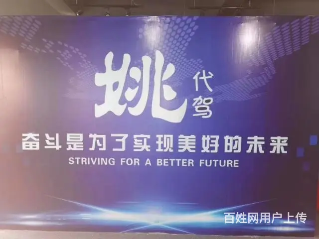 司机 - 图片 2
