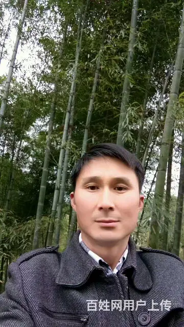 愿得见卿 携手一生 - 图片
