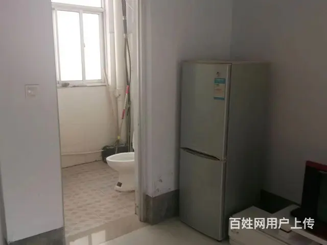 两室一厅一厨一卫的房子出租 - 图片 4