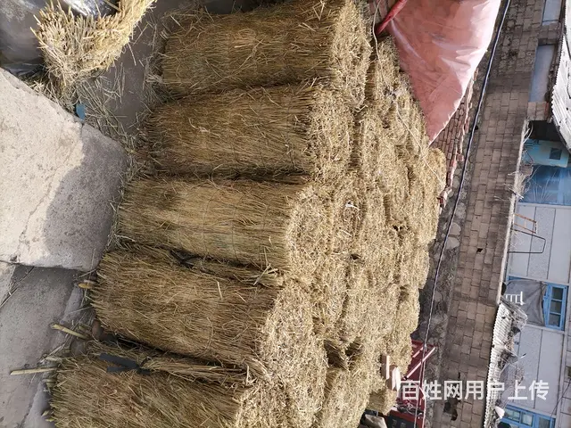 买卖手割稻草和卖稻草帘，卖柴油机和自作玉米脱粒机 - 图片 6
