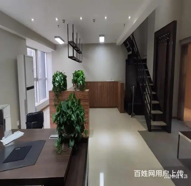 骨折价！泉舜186精装240平280平500平 多种面积可选 - 图片 8