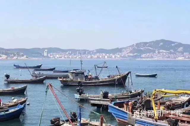 威海市中心海景房  买一送一  酒店管理 - 图片 9